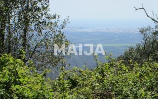 Земля за 58 000 евро в Португалии