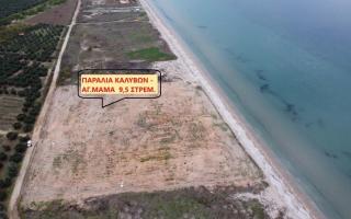 Земля за 1 000 000 евро на Халкидиках, Греция