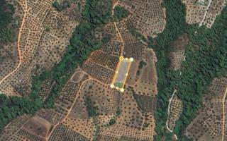 Земля за 220 000 евро в Ситонии, Греция