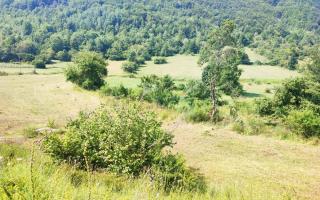 Земля за 40 000 евро в Шавнике, Черногория