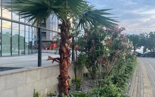 Квартира за 68 771 евро в Батуми, Грузия
