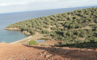 Земля за 1 800 000 евро на Халкидиках, Греция