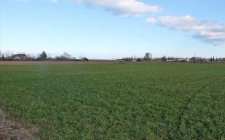 Земля за 180 000 евро в Олимпиаки-Акти, Греция