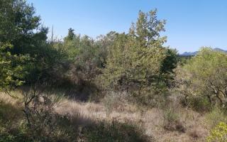 Земля за 580 000 евро на Корфу, Греция