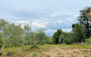 Земля за 250 000 евро на Корфу, Греция