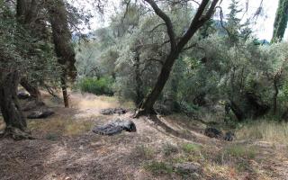 Земля за 160 000 евро на Корфу, Греция