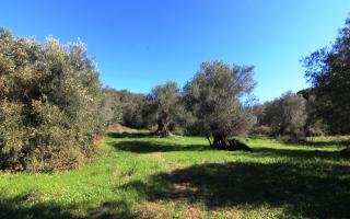 Земля за 250 000 евро на Корфу, Греция