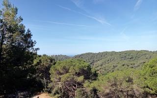 Земля за 530 000 евро на Коста-Брава, Испания