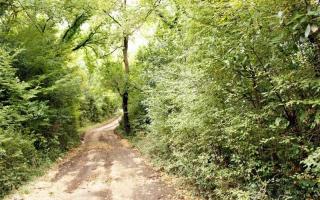 Земля за 1 100 000 евро в Ораховаце, Черногория