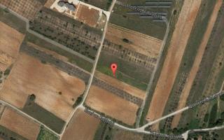 Земля за 180 000 евро в Аттике, Греция