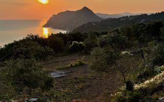 Земля за 900 000 евро на Корфу, Греция