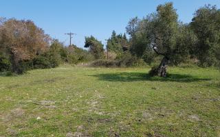 Земля за 220 000 евро на Кассандре, Греция