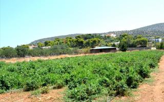 Земля за 820 000 евро в Аттике, Греция