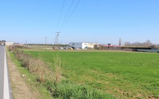 Земля за 150 000 евро в Олимпиаки-Акти, Греция