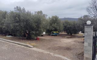 Земля за 270 000 евро в Ситонии, Греция