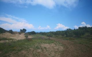 Земля за 300 000 евро на Кассандре, Греция