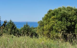 Земля за 250 000 евро в Ситонии, Греция