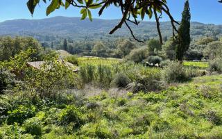 Земля за 180 000 евро на Корфу, Греция