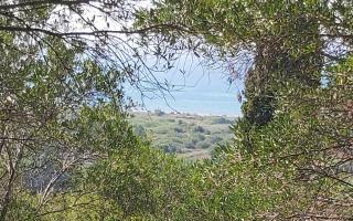 Земля за 300 000 евро на Корфу, Греция