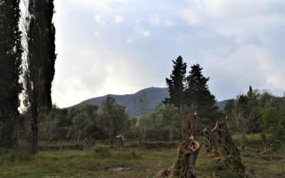 Земля за 330 000 евро на Корфу, Греция