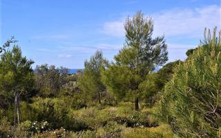 Земля за 420 000 евро на Корфу, Греция