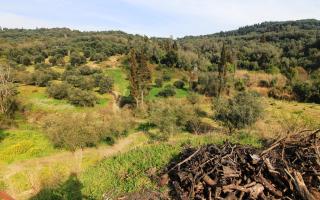 Земля за 150 000 евро на Корфу, Греция