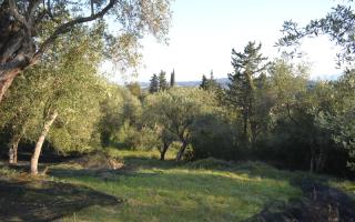 Земля за 260 000 евро на Корфу, Греция