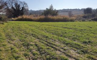 Земля за 150 000 евро на Кассандре, Греция