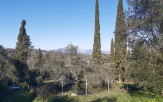 Земля за 400 000 евро на Корфу, Греция