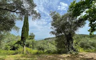 Земля за 320 000 евро на Корфу, Греция