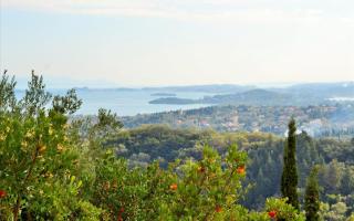 Земля за 600 000 евро на Корфу, Греция