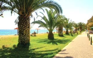 Земля за 500 000 евро в Аттике, Греция