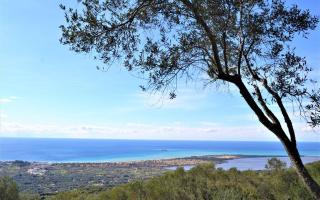 Земля за 280 000 евро на Корфу, Греция