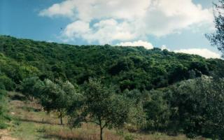 Земля за 490 000 евро на Корфу, Греция