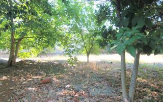 Земля за 280 000 евро на Корфу, Греция