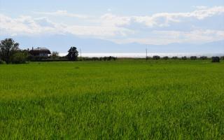 Земля за 850 000 евро в Салониках, Греция