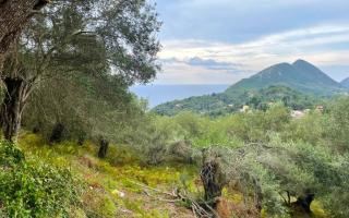 Земля за 225 000 евро на Корфу, Греция