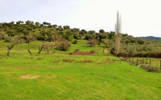 Земля за 200 000 евро в Ситонии, Греция