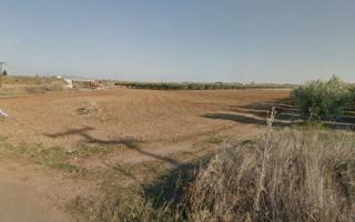 Земля за 180 000 евро на Халкидиках, Греция