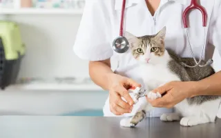 Коммерческая недвижимость за 360 000 евро в Барселоне, Испания