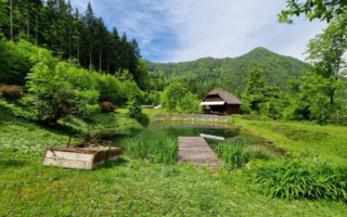 Ферма за 740 000 евро в Равне-на-Корошкем, Словения