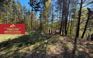 Земля за 37 000 евро в Банско, Болгария