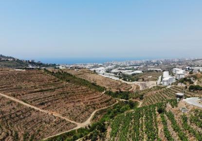 Земля за 210 000 евро в Алании, Турция