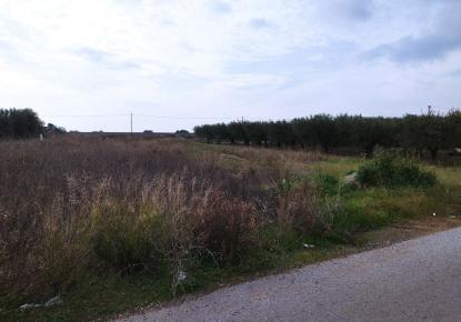 Земля за 90 000 евро на Халкидиках, Греция