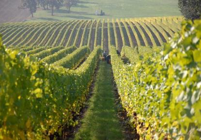 Земля за 2 000 000 евро в Румынии