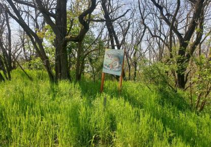 Земля за 95 000 евро в Венгрии