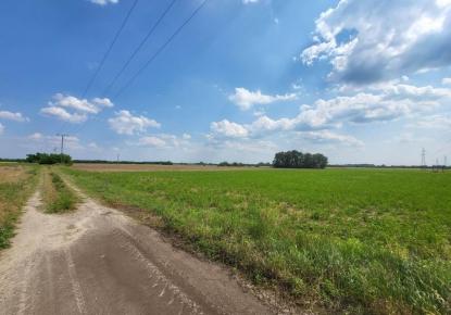 Земля за 11 964 548 евро в Венгрии