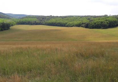 Ферма за 990 000 евро в Венгрии