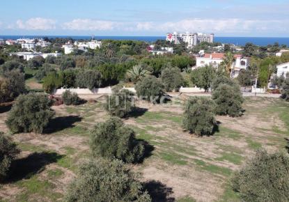 Земля за 745 000 евро в Кирении, Кипр