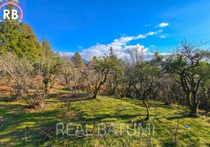 Земля за 38 101 евро в Батуми, Грузия